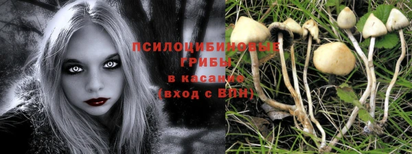 2c-b Алексин